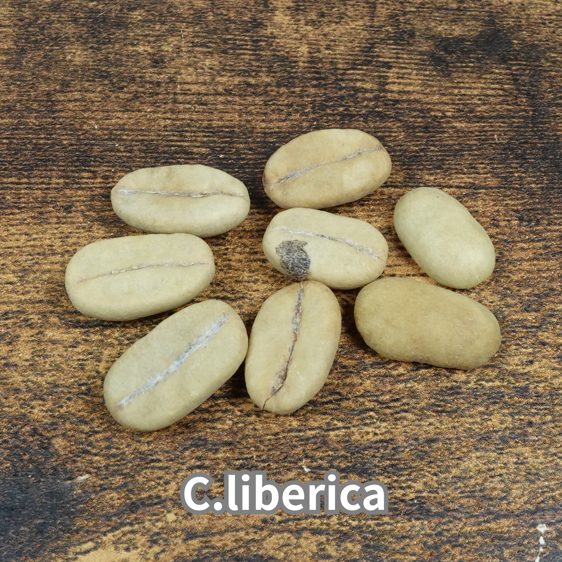 リベリカコーヒー100g