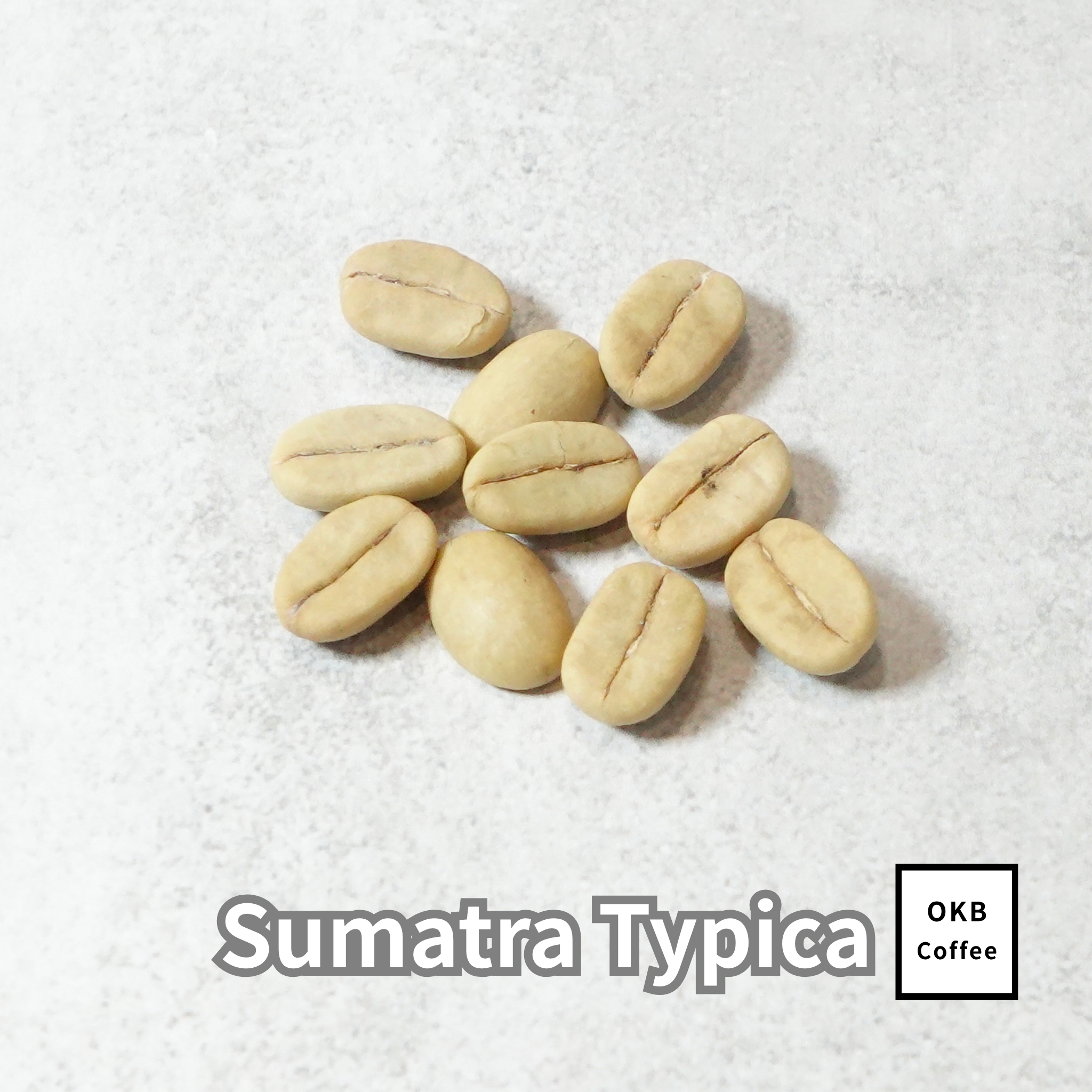 コーヒーの木の種子 スマトラティピカ品種 10粒